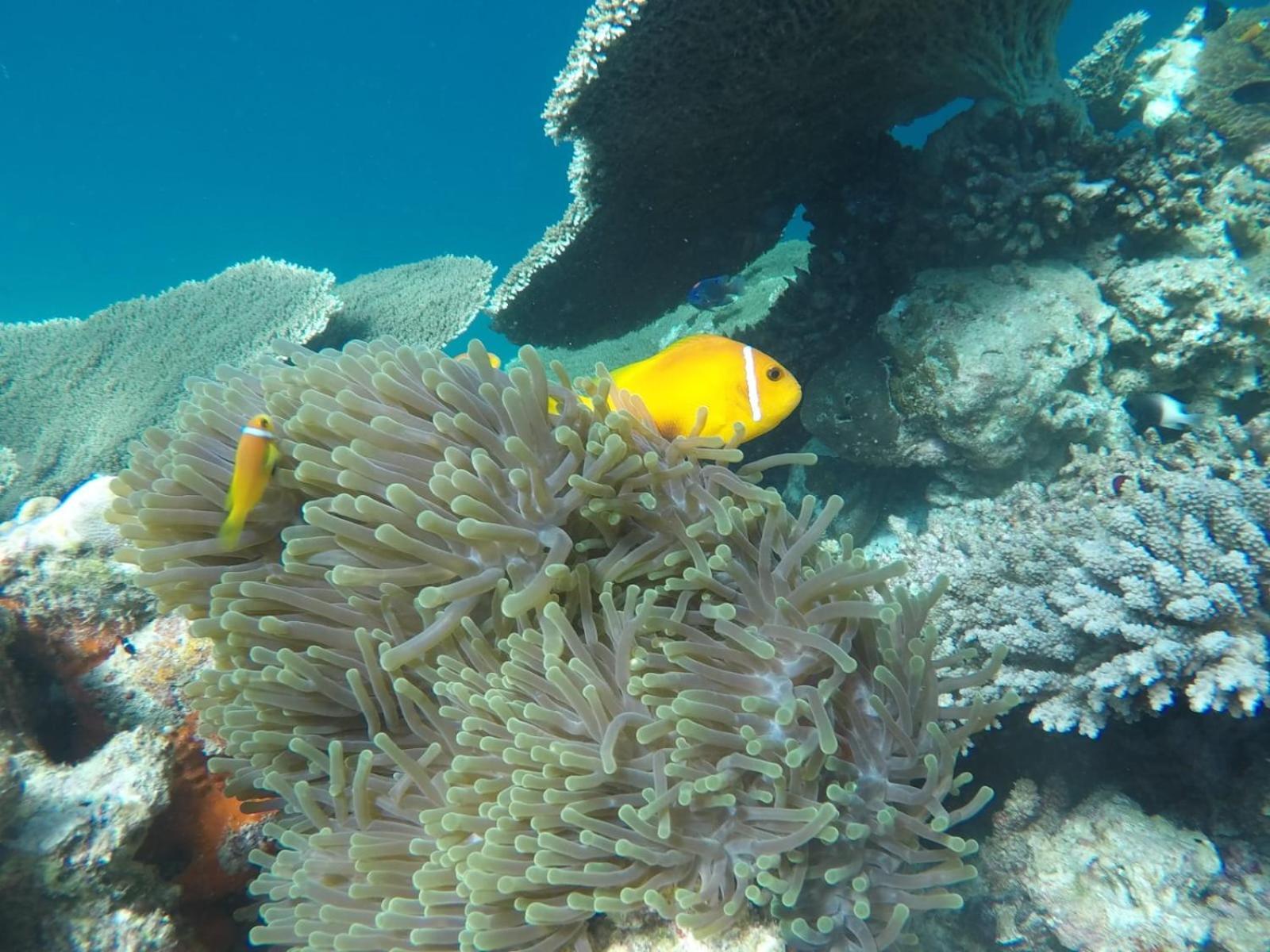 Moodhumaa Inn グライドゥ エクステリア 写真