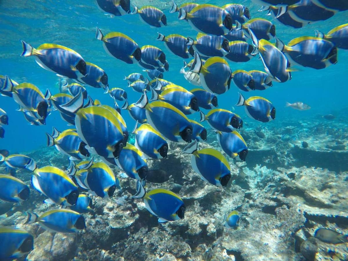 Moodhumaa Inn グライドゥ エクステリア 写真