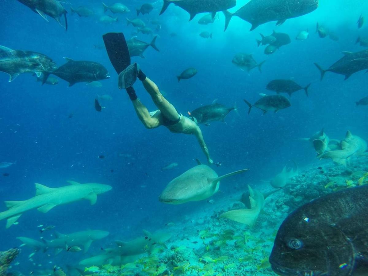 Moodhumaa Inn グライドゥ エクステリア 写真